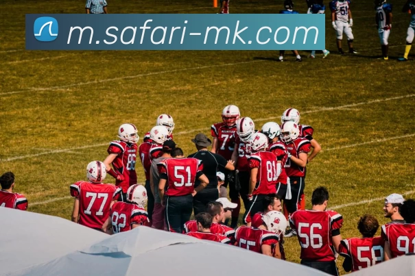 MK体育APP 封面图